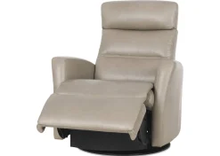 Urban Barn Jasper Leather Recliner- Accent Chairs