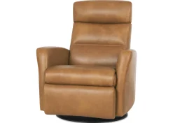 Urban Barn Jasper Leather Recliner- Accent Chairs