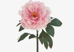Urban Barn Jayde Peony Stem- Blooms & Branches