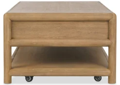 Urban Barn Jayman Storage Coffee Table- Coffee Tables
