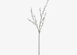 Urban Barn Jessa Pussy Willow Branch- Blooms & Branches
