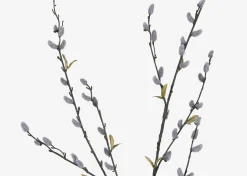 Urban Barn Jessa Pussy Willow Branch- Blooms & Branches