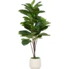 Urban Barn Joe Fiddle Tree Potted- Blooms & Branches