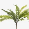 Urban Barn Jylan Long Fern Bunch- Blooms & Branches