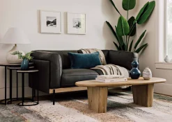 Urban Barn Kani Travelers Palm Potted X-Large- Blooms & Branches