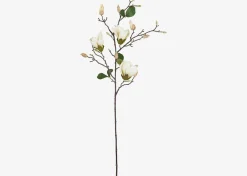 Urban Barn Keery Magnolia Branch Ivory- Blooms & Branches