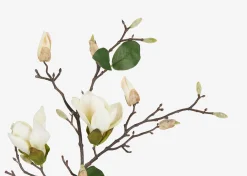 Urban Barn Keery Magnolia Branch Ivory- Blooms & Branches