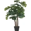 Urban Barn Lagos Monstera Tree Potted- Blooms & Branches