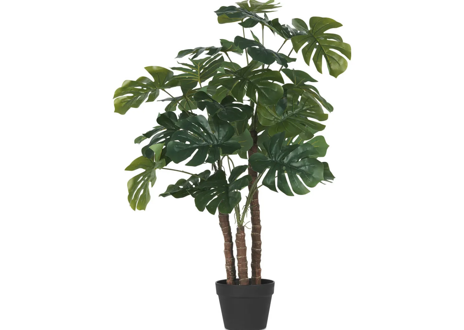 Urban Barn Lagos Monstera Tree Potted- Blooms & Branches