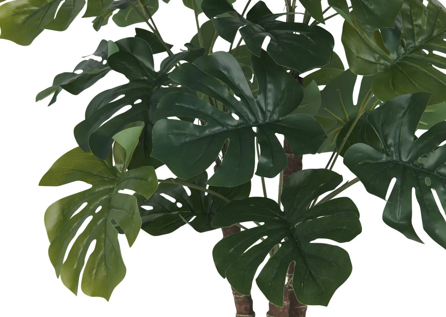 Urban Barn Lagos Monstera Tree Potted- Blooms & Branches