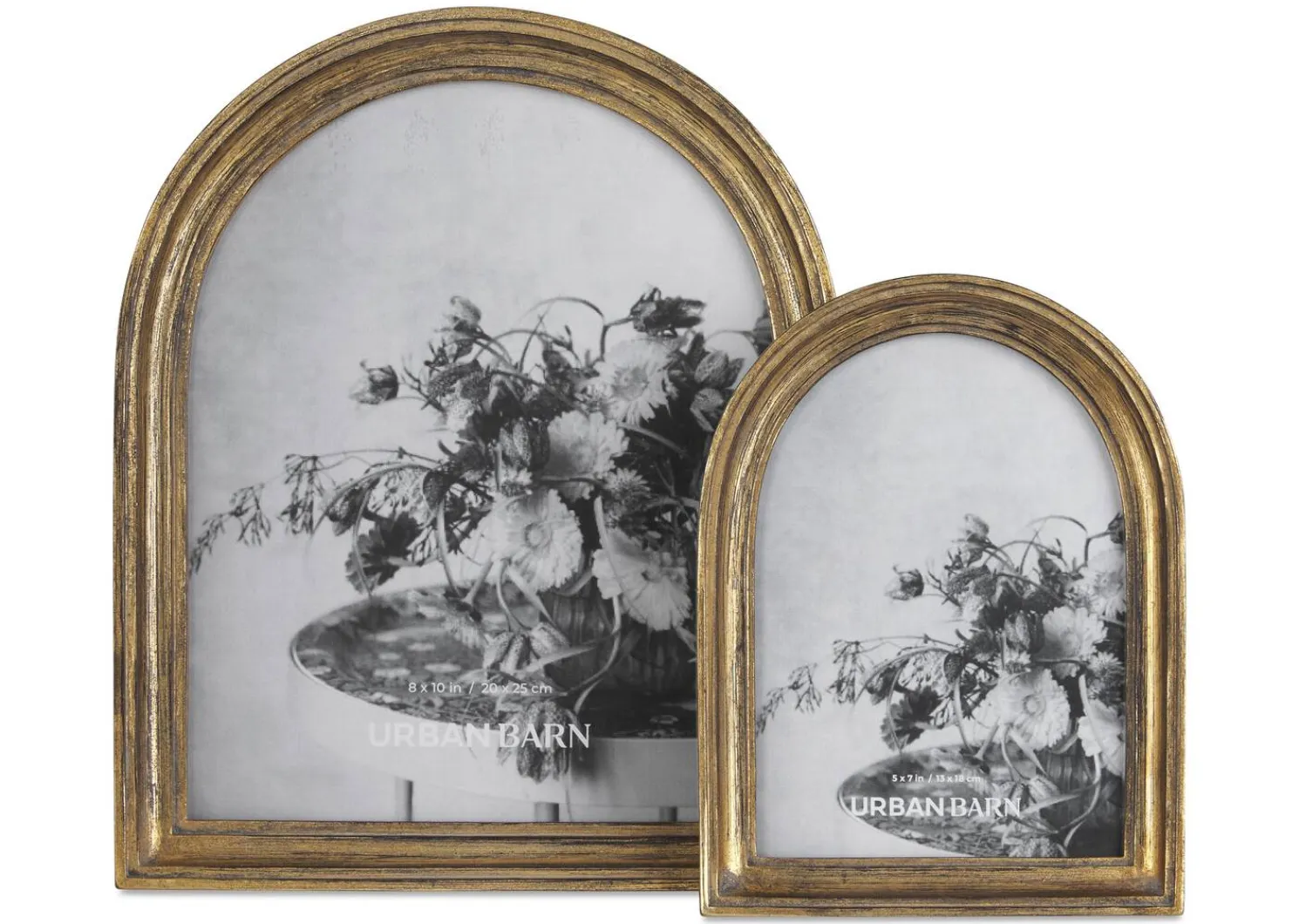 Urban Barn Letta Frames-Brass- Frames