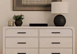 Urban Barn Lidia Jasmine Plant Potted- Blooms & Branches