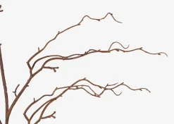 Urban Barn Liliana Willow Branch Stem- Blooms & Branches