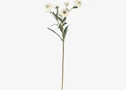 Urban Barn Lindy Cornflower- Blooms & Branches