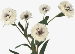 Urban Barn Lindy Cornflower- Blooms & Branches