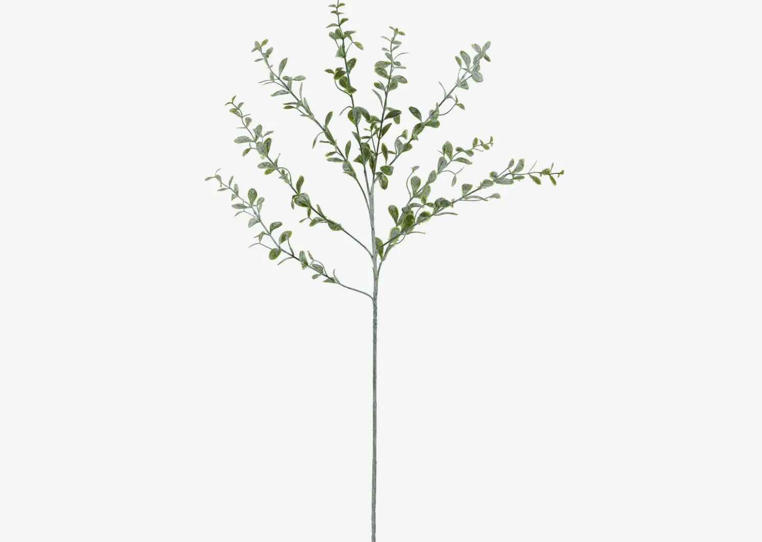 Urban Barn Linnea Leaf Branch- Blooms & Branches