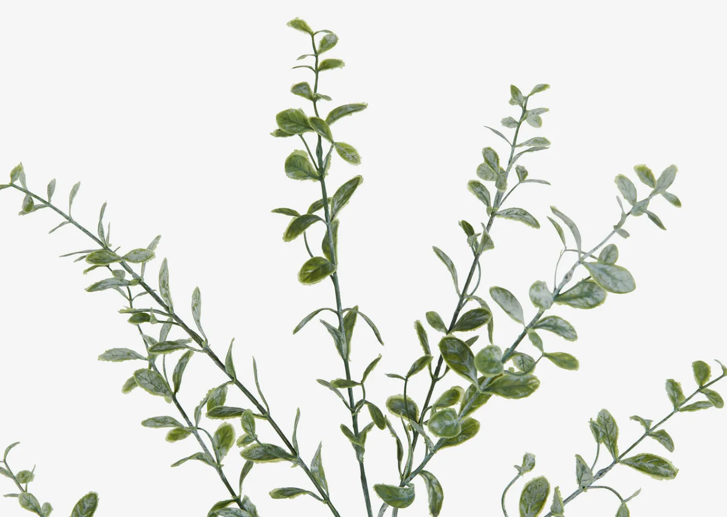 Urban Barn Linnea Leaf Branch- Blooms & Branches