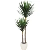 Urban Barn Lucas Yucca Tree Potted- Blooms & Branches