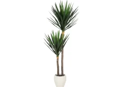 Urban Barn Lucas Yucca Tree Potted- Blooms & Branches