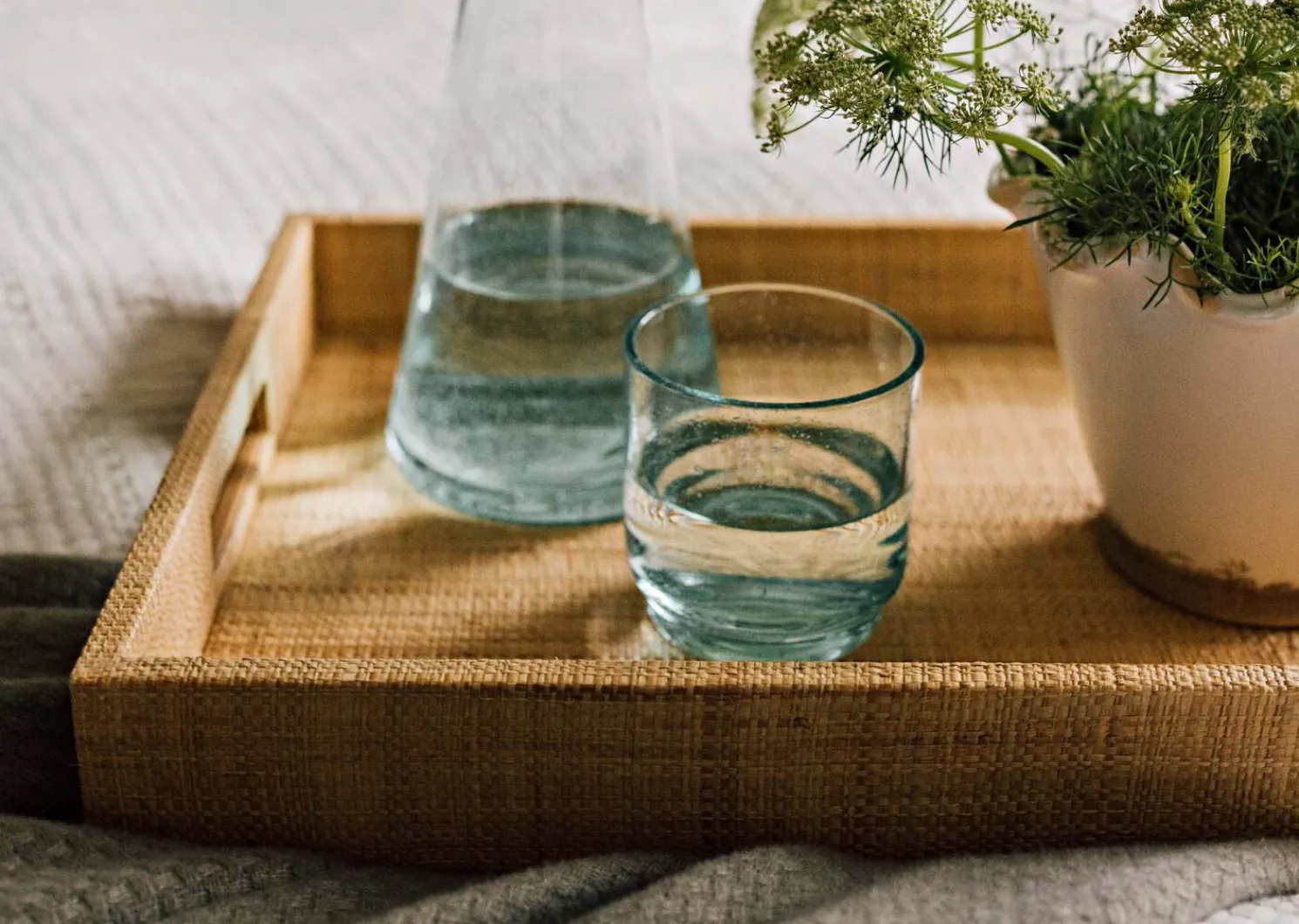 Urban Barn Luisa Glass Collection- Glassware