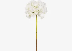 Urban Barn Lydia Hydrangea Stem- Blooms & Branches