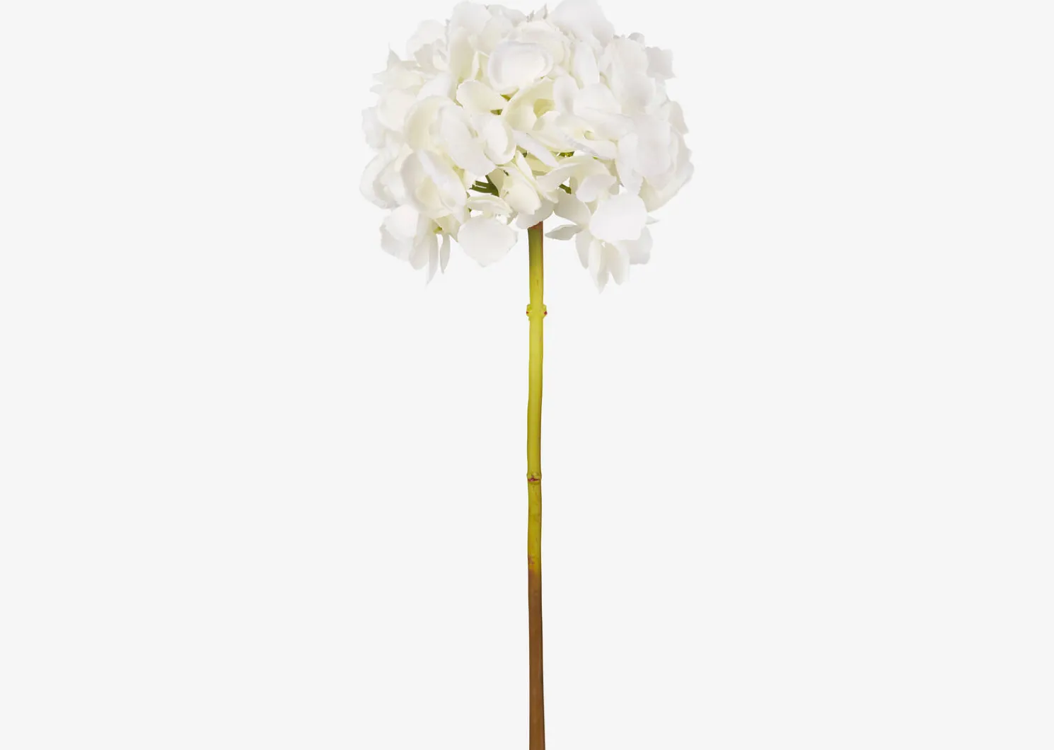 Urban Barn Lydia Hydrangea Stem- Blooms & Branches