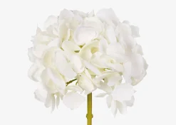 Urban Barn Lydia Hydrangea Stem- Blooms & Branches