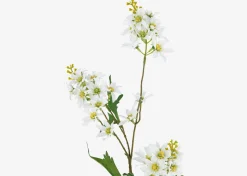 Urban Barn Mandi Floral Stem- Blooms & Branches