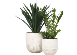 Urban Barn Manny Planter- Vases & Planters