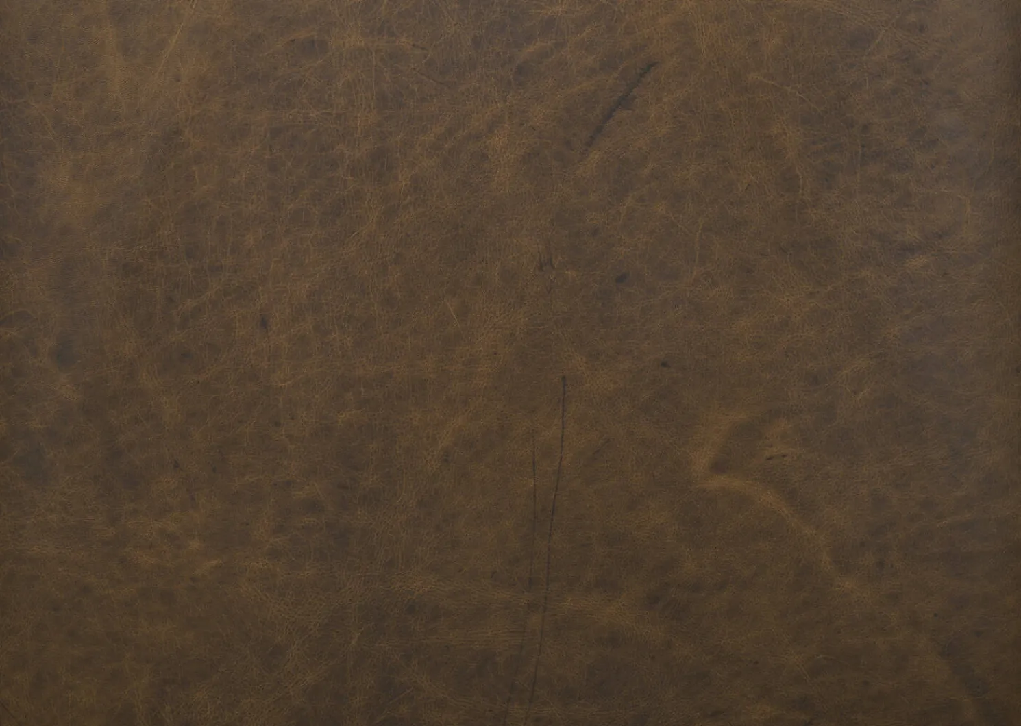 Urban Barn Marcello Leather Sofa -Waco Tobacco- Sofas & Sectionals