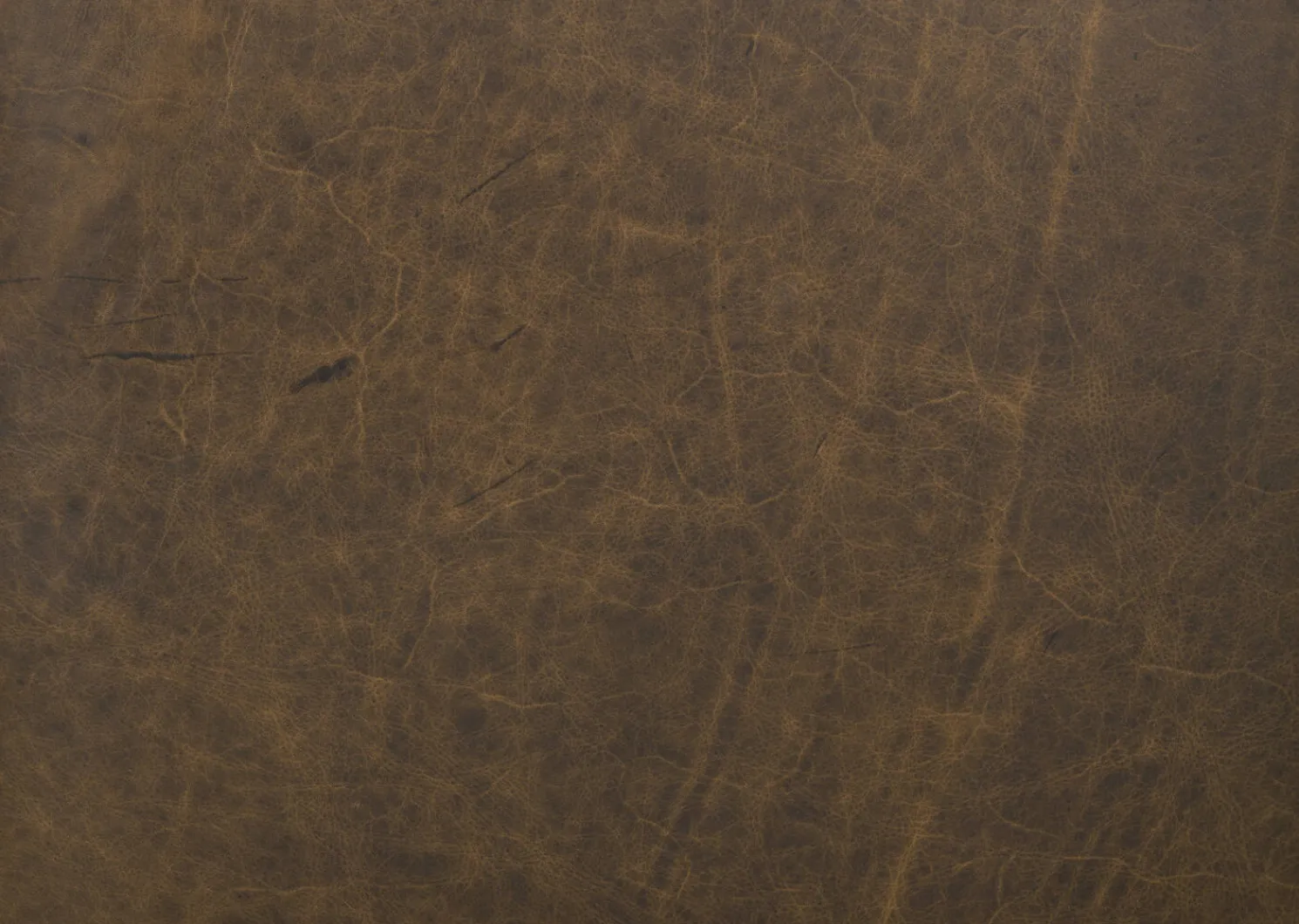 Urban Barn Marcello Leather Sofa -Waco Tobacco- Sofas & Sectionals