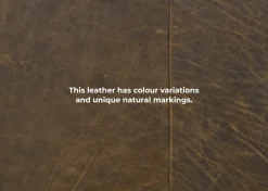 Urban Barn Marcello Leather Sofa -Waco Tobacco- Sofas & Sectionals