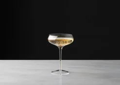 Urban Barn Maris Coupe Glass- Glassware