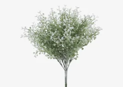 Urban Barn Mikayla Boxwood Stem- Blooms & Branches