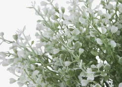 Urban Barn Mikayla Boxwood Stem- Blooms & Branches