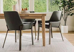 Urban Barn Olie Rug/Multi- Area Rugs