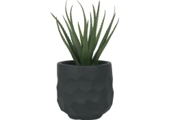 Urban Barn Ollie Planter- Vases & Planters