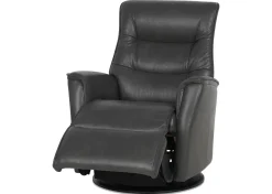 Urban Barn Paramount Leather Recliner- Accent Chairs