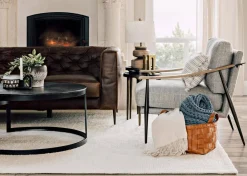 Urban Barn Richard Rugs - Ivory- Area Rugs