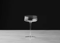 Urban Barn Roderick Cocktail Glass- Glassware