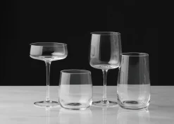 Urban Barn Roderick Wine Glass- Glassware
