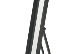 Urban Barn Ruben Standing Oak Mirror- Mirrors