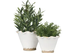 Urban Barn Ruffled Planter- Vases & Planters