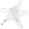 Urban Barn Starfish Decor Clear- Decorative Accents