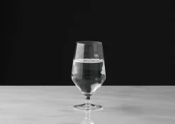 Urban Barn Sterling Goblet Glass- Glassware