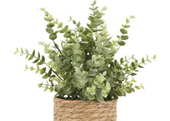 Urban Barn Suri Eucalyptus Plant Potted- Blooms & Branches