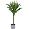 Urban Barn Tate Dracaena Tree Potted- Blooms & Branches