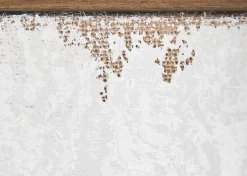 Urban Barn The Cove Wall Art- Wall Art