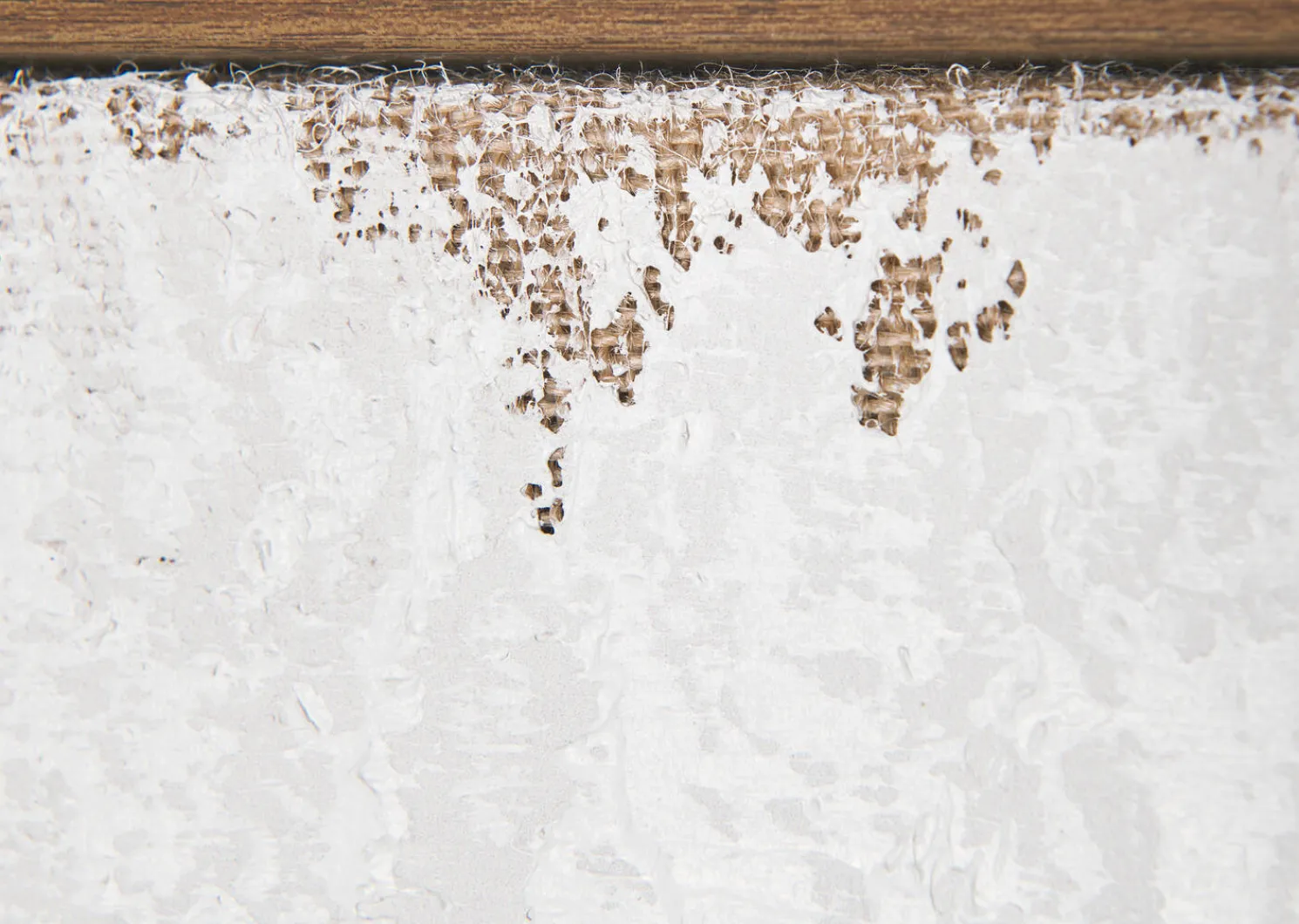 Urban Barn The Cove Wall Art- Wall Art