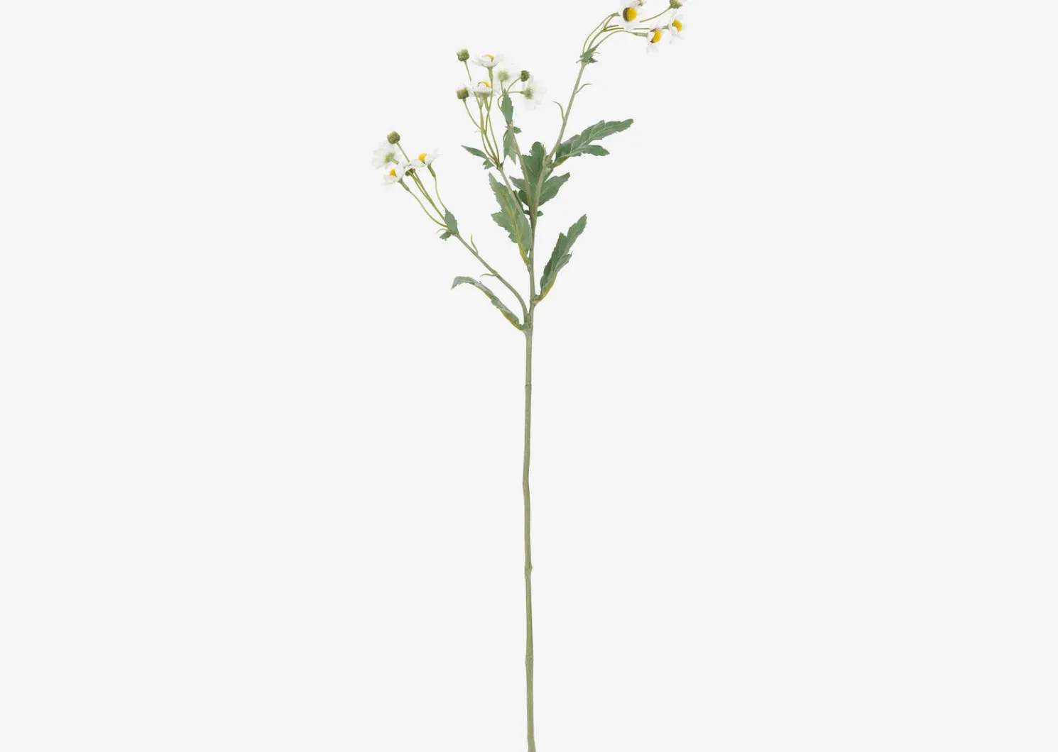 Urban Barn Trish Anemone Branch- Blooms & Branches